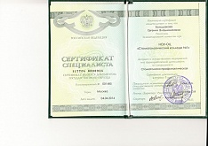 Сертификат Евгения Владимировна Большакова