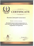 Сертификат Палкин Дмитрий Алексеевич
