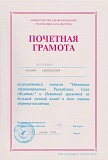 Сертификат Владимир Александрович Вознюк