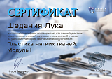 Сертификат Шедания Лука Теимуразович
